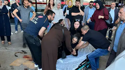 Elazığ’da Köpek Saldırısı: Bir Kadın Yaralandı